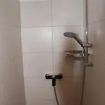 Wolfsjaeger Worker - Voll Ausgestattete Gemeinschafts-apartments Mit Kueche & Waschmaschine, Nahe Linz Apartmán *